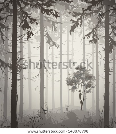 forest air landscape with birds, light colors, vector illustration
