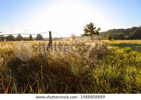 Cobweb on the old pasture fence, beautiful pasture meadow landscape in background at sunrise.