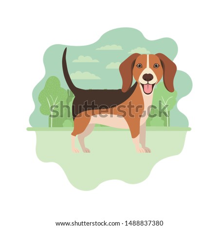 cute beagle dog on white background