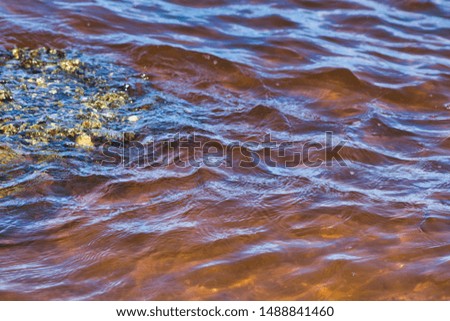 Environmental water pollution on the ocean.