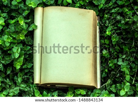 Old books and green grass  background