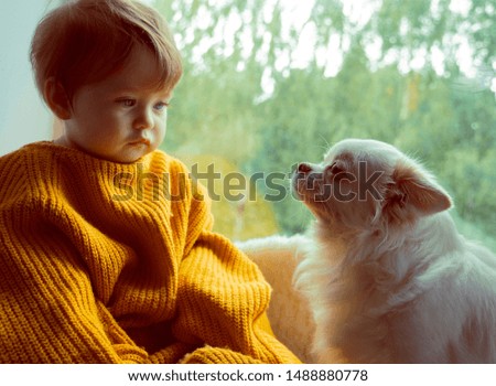Portrait of a little girl with a white chihuahua.