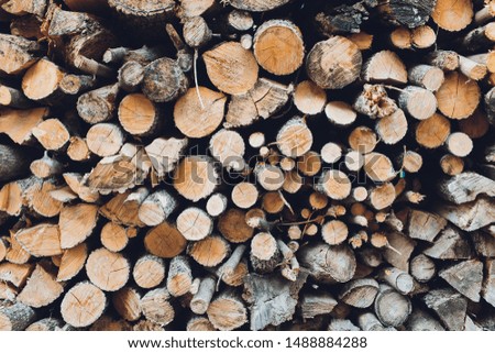 Pile of firewood. Preparation of firewood for the winter and use for cooking, firewood background, Stacks of firewood in the forest.