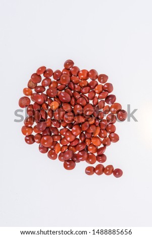 Red sandalwood seeds (Adenanthera pavonina) seeds on white background.