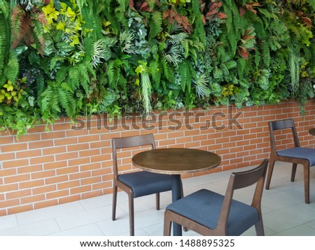 Empty wood table with artificial plant decoration on the wall of ecology design interior. Fake tree from plastic plants ornament design on the wall of coffee shop. Select focus Royalty-Free Stock Photo #1488895325