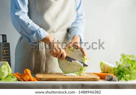 Woman slices fresh organic cabbage for making salad or for salting cabbage natural background. Vegetarian food concept.
