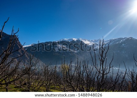 Snow at hills with tree and sky image is taken at manali india showing its amazing natural view.