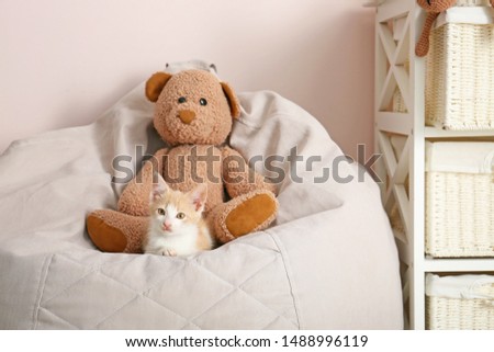 Adorable kitten with teddy bear on beanbag chair in room