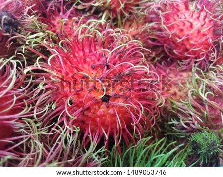 Fruits that are hairy all over the ball are called rambutan.