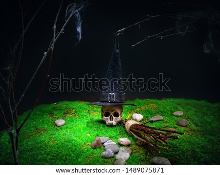 Halloween witch skull in a classic pointed hat with a broom for flying against the background of an abandoned garden. Toy model
