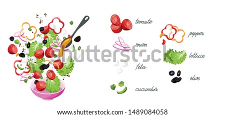 Greek salad Ingredients Constructor. Feta Cheese, Basil, Olives, Lettuce Salad, Tomato, Onion, pepper, Cucumber. Vector. Royalty-Free Stock Photo #1489084058