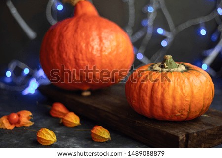 Halloween Pumpkins of bright orange color lie on a dark background, next to red berries, in the background, blurry lights create a festive atmosphere.