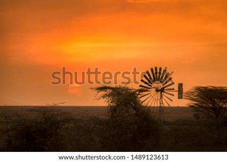 Sunset with a windmill silhouette at the forest edge