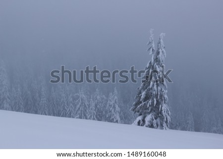 Panoramic view of the picturesque snowy winter landscape. 