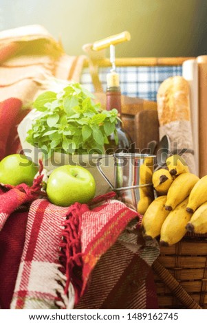 Green basil bunch, fruits, bread baguette, wine with opener, apples bananas. Wattled picnic basket filled good food. Summer time. Sunlight. Ready to have relax time. Vertical