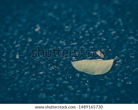 Yellow leaves on the ground by vintage style, picture has under effect