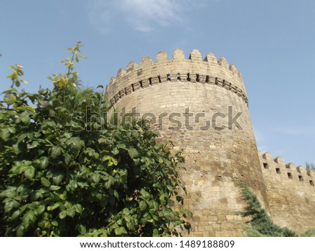 A tree in front of Baku old city fortress wall. Baku old city is big castle, Recognized by UNESCO and also called Icharishahar. Blue sky in the background.