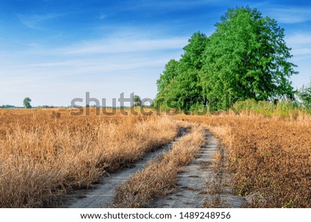 A rural dusty countryside road across fields with dry grass - Horizontal photo