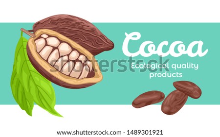 Banner with cocoa beans. Cacao packaging design template. Vector illustration of chocolate beans in cartoon flat style. Flyer design, label.