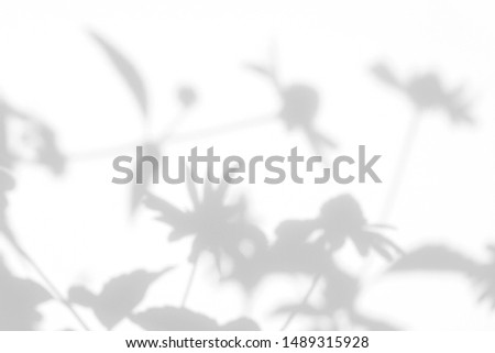 Gray shadows of the flowers on a white wall. Abstract neutral nature concept background. Space for text. Blurred, defocused. Overlay effect for photo. Royalty-Free Stock Photo #1489315928