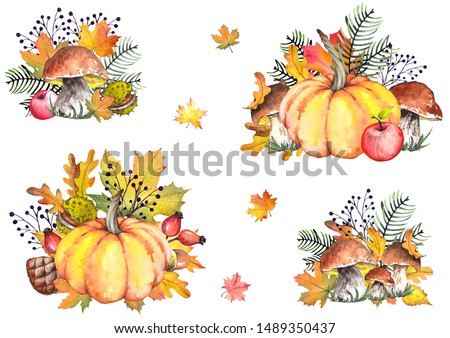 Autumn illustrations with pumpkins, apples, mushrooms, pine branches and colorful leaves. Watercolor isolated on white background.
