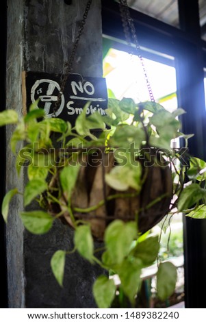 No smoking sign above hanging plants in the restaurant