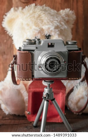 Photographer Bear with vintage camera 