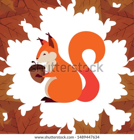 squirrel acorn happy autumn season flat design