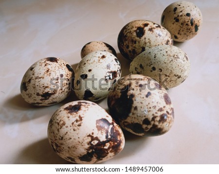 Quail egg picture from Indonesia