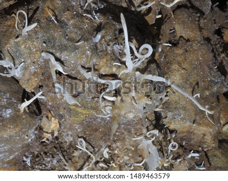 Rare Helictites in Black Chasm Cavern in Northern California
