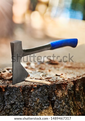 New metal ax in a stump with a blue handle. Sunny weather and forest background. high resolution 6080 x 8256 pixels, 50 megapixels.