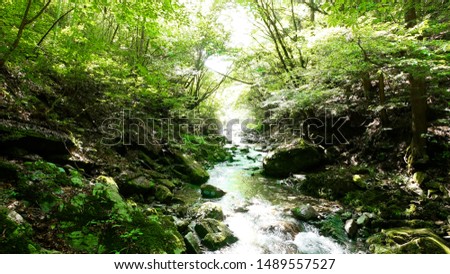Mountain stream in Akigawa Valley Tokyo Japan