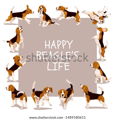 Happy beagle life vector card or poster with cute flat funny plaing puppys in various poses and action. Design for dogs lover Royalty-Free Stock Photo #1489580651