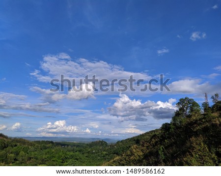Thai Mountain tree blue sky natural forest