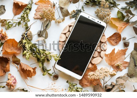 phone mockup with fall dry leaves