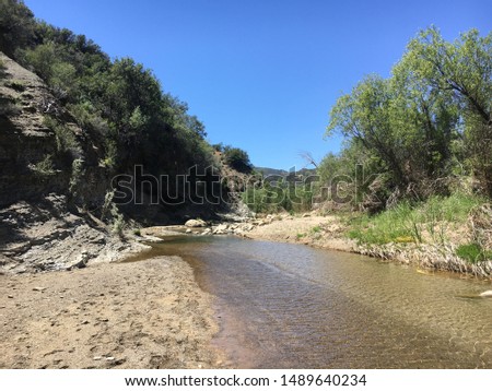 Southern California Stream in Summer