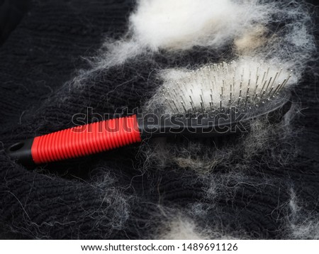 Closeup dog hair fallen after grooming and dog hair brush,put on black board,show texture and detail of hair,blurry light around