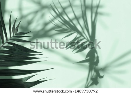 Abstract shadow background of natural palm leaves tree branch falling on neo mint color wall texture for background and wallpaper.