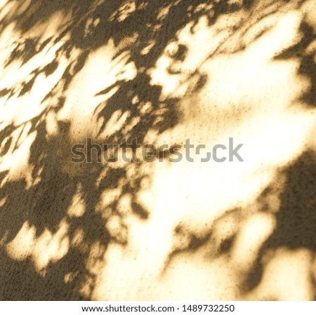 natural leaves shadow background on textured brown wall . poster. wallpaper.