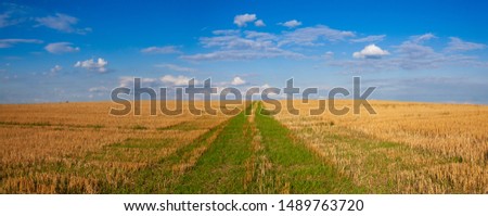 The field after harvesting in sunny day. Panorama picture with mowed wheat field  under  sunny day. Czech Republic