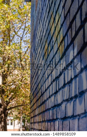 Colored brick wall. Shot at eye level. Perspective. Soft focus. Vertical version of the location of the picture.