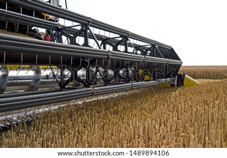 Farm implements: Closeup of a grain header of a modern combine harvester just before harvesting a cornfield Royalty-Free Stock Photo #1489894106