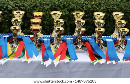 Beautiful colorful awards on the table to the winners of the races on racetrack