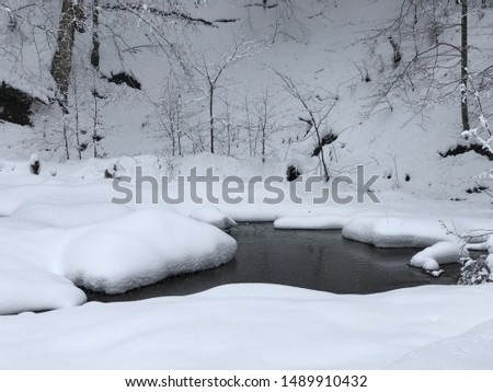 Winter landscape in the mountains, mountain rivers, snow-capped mountains and trees. Carpathian mountains. Beautiful views and backgrounds.