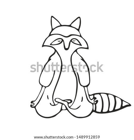 Doodle outline set of raccoon do yoga asanas for decoration design. Sketch character. Funny vector healthy concept illustration. 