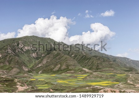 Qinghai-Tibet Plateau grassland scenery in western China under blue sky and white clouds