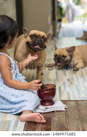 Cute little girl is playing with her lovely french bulldog.