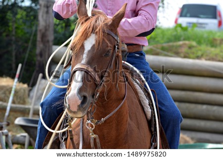 Horse western saddle, Rodeo races