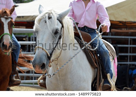 Horse western saddle, Rodeo races