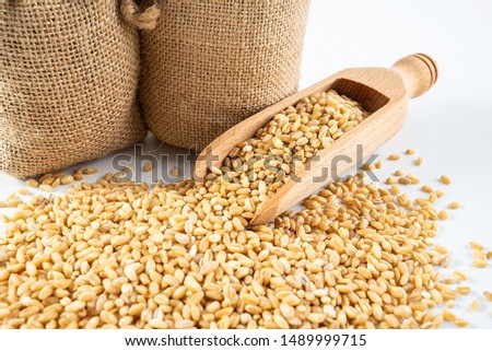 Sacks filled with grain and a wooden shovel with wheat kernels on a white background Royalty-Free Stock Photo #1489999715